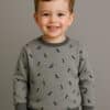 Cozy toddler dinosaur sweatshirts with matching pajama set in cute dinosaur prints